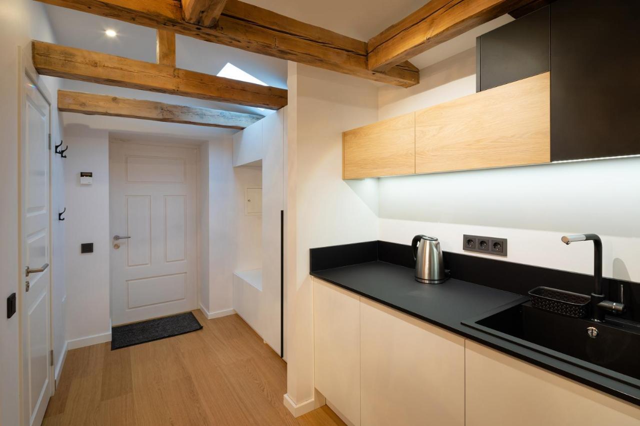 Merkela Loft Apartment Beside Vermanes Park Riga Bagian luar foto